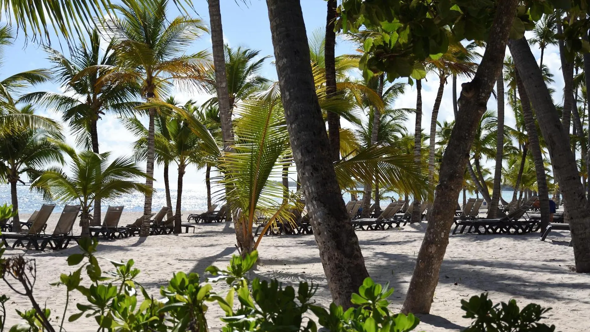 Relax @ Beach, Bibijagua بونتا كانا شقة